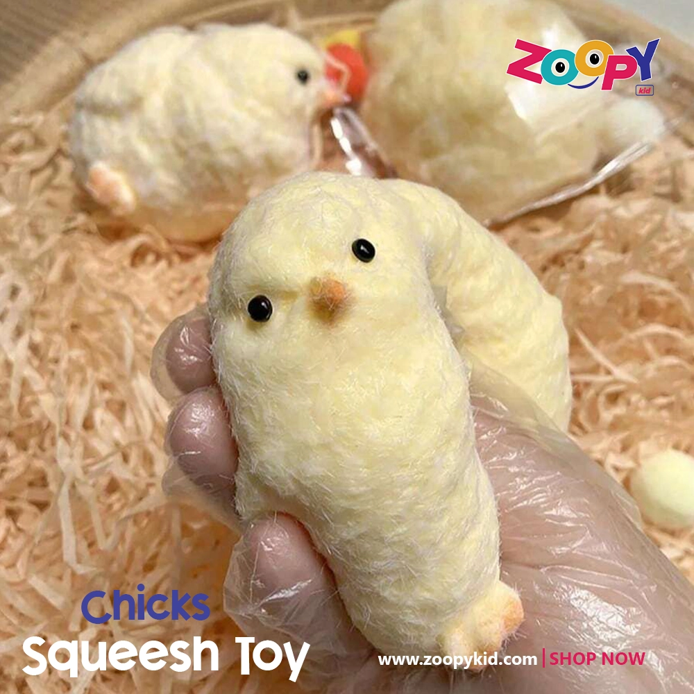 3pcs Chicks Squeesh toy